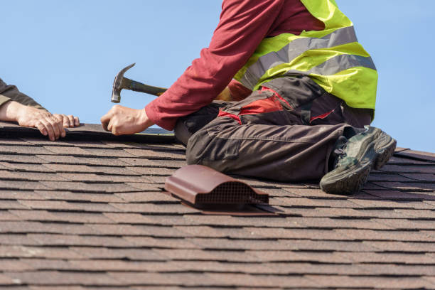 Best Flat Roof Repair Services  in Vassar, MI