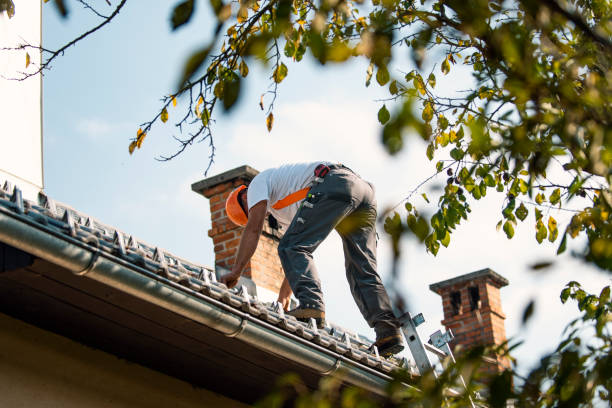 Best Sealant for Roof  in Vassar, MI