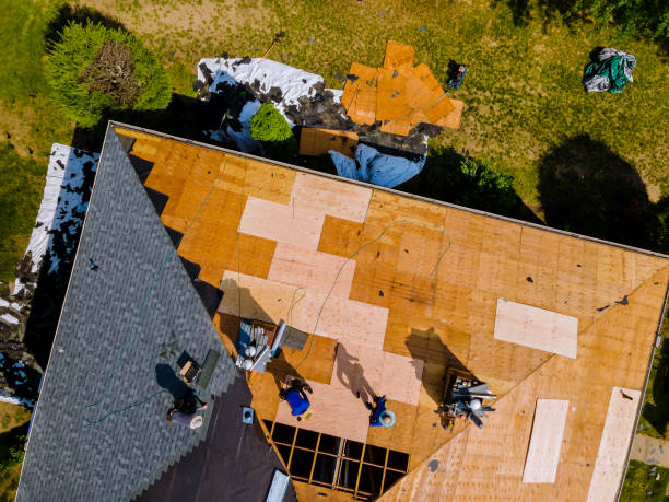 Trusted Vassar, MI Roofing Contractor Experts