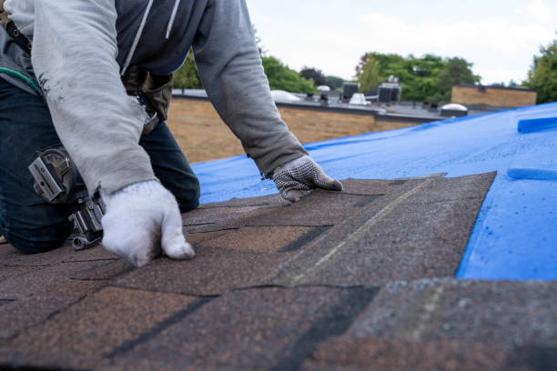 Best New Roof Installation  in Vassar, MI