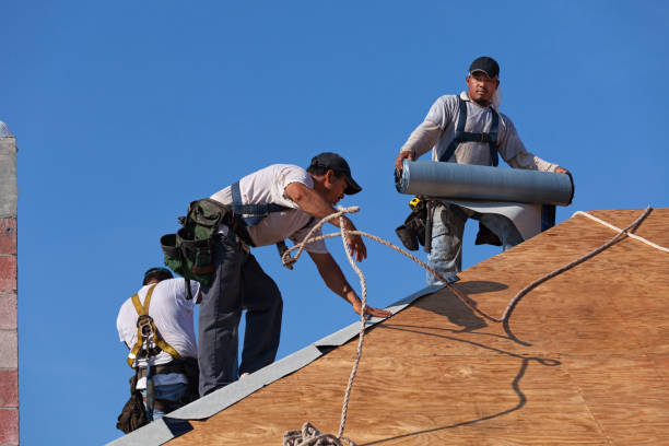 Best Gutter Installation and Roofing  in Vassar, MI