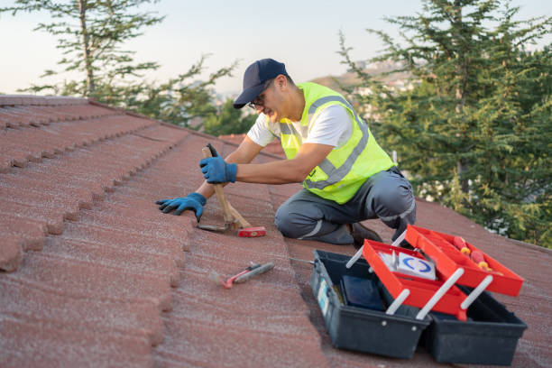 Best Affordable Roofing Company  in Vassar, MI