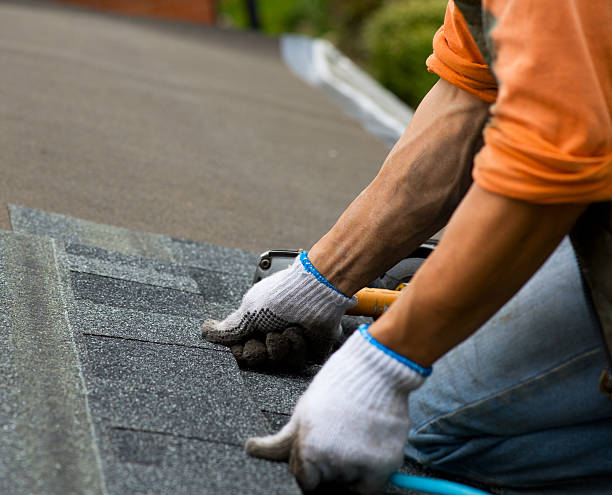 Best Roof Repair Specialists  in Vassar, MI