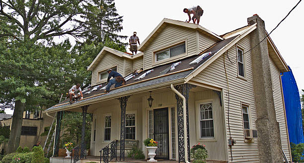 Trusted Vassar, MI Roofing Contractor Experts