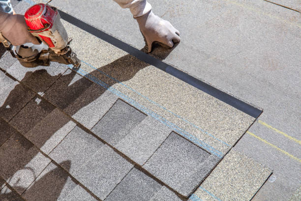 Best Commercial Roofing Services  in Vassar, MI